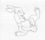  animal_genitalia balls buckteeth erection feral greyscale hi_res lagomorph looking_at_penis lying male mammal mizzyam monochrome on_back open_mouth pencil_(artwork) penis rabbit sheath solo spread_legs spreading tapering_penis teeth tongue tongue_out traditional_media_(artwork) 