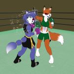  2018 absurd_res anthro barefoot black_eye black_nose blue_eyes blue_fur blue_tail boxing boxing_gloves bra brown_eyes bruised canid canine clothing dipstick_tail duo eyebrows eyelashes female fight fighting_ring footwear fox fur hi_res inner_ear_fluff jane_(blu-the-tiger) krystal mammal markings midriff motion_lines mouth_guard multicolored_fur multicolored_tail navel nintendo one_eye_closed open_mouth open_smile orange_fur orange_tail punch shorts signature smile socks_(marking) sport sports_bra star_fox underwear video_games wendel_fragoso white_fur white_tail 