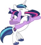  2015 90sigma absurd_res alpha_channel cutie_mark duo equine eyes_closed feathered_wings feathers female feral friendship_is_magic fur hair hi_res horn male mammal multicolored_hair my_little_pony open_mouth playing purple_eyes purple_feathers purple_fur shining_armor_(mlp) simple_background smile transparent_background twilight_sparkle_(mlp) two_tone_hair white_fur winged_unicorn wings 