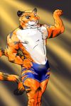  disney feline jinta87 male mammal stripper_tiger_(zootopia) tiger zootopia 