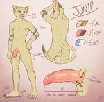  aixarata anthro balls erection feline flaccid humanoid_penis junip male mammal model_sheet partially_retracted_foreskin penis retracted_foreskin sandcat solo uncut 