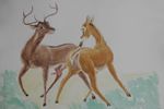  abstract_background antlers cervine deer disney duo erection faline female feral flehmen_response gasp heat_(disambiguation) horn male mammal painting penis pussy queensmate ronno sketch surprise traditional_media_(artwork) turn_on unfinished watercolor_(artwork) 