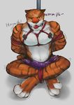  2016 anthro ball_gag barefoot bdsm black_fur bondage bound bulge clothed clothing disney feline fur gag looking_at_viewer male mammal money muscular muscular_male navel orange_fur ots44 pecs pole rope shadow sitting solo steam stripes stripper_tiger_(zootopia) tiger topless white_fur zootopia 