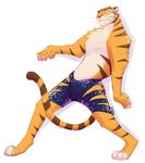  disney feline male mammal solo stripper_tiger_(zootopia) tiger zootopia 