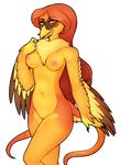  2016 5_fingers alpha_channel amber_eyes anthro avian beak bird breasts chest_tuft corvid crow feathers female hair hybrid katie_bree long_hair looking_at_viewer navel nipples non-mammal_breasts nude open_beak orange_feathers orange_hair oriole porin pussy seagull standing tuft 
