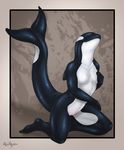  anthro breasts cetacean eyes_closed featureless_breasts female hand_on_breast kneeling mammal marine nude orca pussy redraptor16 solo whale 