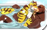  abs anthro bath_tub bear bearlovestiger13 biceps blue_eyes blush brown_fur chest_tuft clothed clothing duo eyes_closed feline fur juuichi_mikazuki kissing love male male/male mammal morenatsu muscular nipples pecs pink_nose steam summer sweat tiger topless torahiko_(morenatsu) tuft water white_fur 