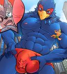  abs avian bird building bulge canine clothing cloud cutaway falco_lombardi fox fox_mccloud group hand_on_hip inside_underwear internal licking low-angle_view macro male mammal mayar muscular muscular_male nintendo nipple_lick nipples outside pecs penis size_difference skyscraper speedo standing star_fox swimsuit tongue tongue_out video_games wolf wolf_o&#039;donnell 
