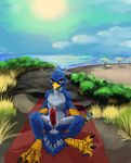  avian beach beak bird blue_feathers claws condom cortez_(character) detailed detailed_background erection feathers hi_res imminent_sex looking_at_viewer lube male nature outside penis sand scritt sea seaside solo suggestive sun talons towel water 