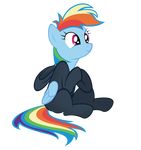  blue_fur clothing equine feathered_wings feathers female feral friendship_is_magic fur hair horse mammal multicolored_hair my_little_pony ninja pegasus pony rainbow_dash_(mlp) rainbow_hair solo v-d-k wings 