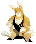  clothing flip_(kokuhane) fur kokuhane lagomorph male mammal rabbit shirt tank_top 