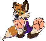  balloon canine feet fox inflatable machine mammal paws robot zukaro zukaro_travon 