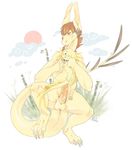  anal dragon gey lagomorph mammal pinle rabbit sex 