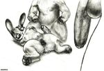  2016 anthro arkomeda big_penis black_and_white blush breasts butt crouching disney female fur grey_fur hair hi_res imminent_sex judy_hopps lagomorph long_ears lying male mammal monochrome muscular nipples nude pawdaws paws pencil_(artwork) penis presenting pussy rabbit spread_butt spreading traditional_media_(artwork) zootopia 