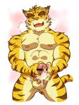  41raco abs anthro biceps colored cum cum_in_hand erection feline male mammal masturbation morenatsu muscular nude orgasm pecs penis simple_background solo tiger torahiko_(morenatsu) 