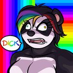  2014 animated anthro bear black_hair breasts bust_shot dialogue english_text female hair humor icon lapinbeau mammal nude panda prisma_lin rainbow slightly_chubby solo text 