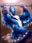  2016 abs anthro avian beak bird blue_feathers blue_jay corvid crest exercise feathers looking_at_viewer male muscular muscular_male navel neph nude salun_(pjt) solo tail_feathers talons winged_arms wings 