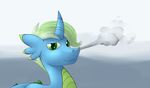  bonfire dragon_pony equine fan_character horse looking_at_viewer mammal marsminer my_little_pony pony smoke 
