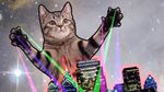  building cat cute disco feline invalid_color invalid_tag mammal nails paws ray shine sparks star 