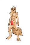 animal_genitalia balls canine digital_media_(artwork) erection invalid_color knot male mammal nude penis sheath solo timber_wolf werew0lfyiff wolf wolvy 
