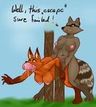 all_the_way_through anthro big_breasts breasts canine dickgirl erection female fox intersex mammal nipples nude nukenugget open_mouth penetration penis raccoon saliva sex simple_background smile text 