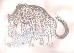  barbed_penis butt cheetah collar colored_pencil egyptian_mau erection feline female feral hi_res hotwert khyphosis lifting lordosis mafti_(queensmate) male male/female mammal markings penis queensmate revad sex size_play sketch spots unfinished 