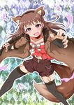  1girl animal_ears bow chigusa choker coat fang fingerless_gloves garter_belt gloves idolmaster idolmaster_cinderella_girls munakata_atsumi shorts solo tail thighhighs wolf_ears wolf_tail 