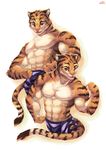  abs absurd_res anthro biceps big_muscles brown_eyes brown_fur chest_tuft clothed clothing digital_media_(artwork) disney duo feline flexing fur hi_res male mammal muscular pecs pink_nose shorts simple_background smile stripes stripper_tiger_(zootopia) tiger topless tuft white_background white_fur zootopia ノーイ 