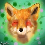  canine cute eyes_closed fox fur graphic hjamespeirce mammal orange_fur red_fur wallpaper 