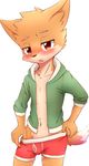  blush boxers_(clothing) bulge canine clothed clothing cub fox male mammal navel open_shirt simple_background solo standing underwear undressing young まだー１０ 