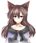  animal_ears blush breasts brooch brown_hair collarbone dress highres imaizumi_kagerou jewelry kakuteru_sudachi large_breasts looking_at_viewer red_eyes simple_background solo touhou upper_body white_background wolf_ears 