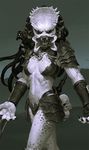  alien armor bikini_armor breasts claws energy_weapon fangs genderswap genderswap_(mtf) hairlocs kilart long_hair medium_breasts monster monster_girl open_mouth pauldrons predator predator_(movie) purple_skin realistic science_fiction shoulder_cannon skull skull_necklace solo 