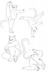  anthro black_and_white briefs bulge cat clothed clothing digital_drawing_(artwork) digital_media_(artwork) eroborus feline front_view handstand hi_res holding_leg leliel male mammal monochrome multiple_image multiple_poses on_one_foot on_one_hand pose shoulder_stand side_view sitting solo spats standing straining stretching topless underwear 