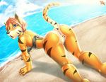  beach bikini clothing feline female hi_res mammal pussy sea seaside swimsuit tiger trbox water 
