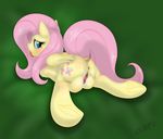  2015 animal_genitalia animal_pussy anus blush cutie_mark equine equine_pussy feathered_wings feathers female feral fluttershy_(mlp) friendship_is_magic fur green_background green_eyes hair hi_res looking_at_viewer looking_back mammal miniferu my_little_pony pegasus pink_hair presenting pussy simple_background solo tongue tongue_out wings yellow_feathers yellow_fur 
