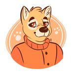  2016 anthro biskyt canine clothed clothing digital_media_(artwork) fur j&auml;skyt komponi mammal orange_fur simple_background solo tagme 