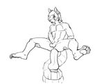  2016 anal anal_masturbation animated anthro balls black_and_white erection fuzzamorous hair hand_on_thigh humanoid_penis loop male masturbation monochrome nude pawpads penis sex_toy simple_background sketch solo white_background 