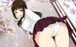  artist_name ass bent_over blush breasts brown_eyes brown_hair cherry_blossoms company_name game-style highres large_breasts long_hair looking_back open_mouth original panties pleated_skirt sasamori_tomoe school_uniform serafuku skirt smile solo trefoil underwear wallpaper watermark white_panties 