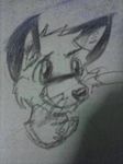  canine drawing fox kithsokit kitshokit mammal pencil_(disambiguation) scrap sketch 