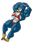  abs absurd_res avian beak big_blue(character) big_breasts blue_feathers breasts feathers female green_eyes hi_res invalid_color muscular muscular_female red_underclothing starbound talons thick_thighs tight_underclothing underclothing video_games wide_hips 