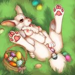  2016 anal anal_masturbation anal_penetration anthro areola basket big_ears breasts buckteeth chest_tuft clitoris drooling easter easter_egg easter_eggs egg eyelashes female fingering fluffy_tail front_view fur grass hand_on_thigh holidays lagomorph legs_up lying mammal masturbation nipples on_back open_mouth outside pawpads penetration purplekushcreations pussy rabbit red_eyes ribbons saliva small_tail solo spread_legs spreading teeth thick_eyebrows tongue tongue_out tuft unfinished vaginal vaginal_fingering vaginal_masturbation whiskers white_fur 