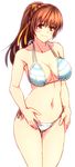  846-gou bikini brown_hair dead_or_alive highres kasumi_(doa) long_hair multi-strapped_bikini ponytail red_eyes smile solo standing swimsuit 