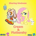  angel_(mlp) chao cheese_the_chao clothing cream_the_rabbit cub cutie_mark duo equine feathers female feral fluttershy_(mlp) friendship_is_magic fur hair horse lagomorph logo long_hair male mammal my_little_pony pegasus pink_hair pony rabbit sonic_(series) text white_fur wings yellow_fur young 