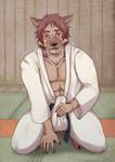  breath brown_nose bulge canine clothed clothing crouching dog erection hair inside judo looking_at_viewer male mammal mottirimoto muscular obi open_mouth orange_eyes pants red_hair shirt solo 