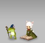  :&lt; absurdres animal_ears book facial_mark final_fantasy final_fantasy_xiv frog green_eyes haimerejzero hat highres kneeling miqo'te odin_sphere parody poroggo_(final_fantasy) staff style_parody tail white_hair wizard_hat y'shtola_rhul younger 