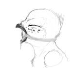  ambiguous_gender anthro avian bdsm beak bird bust_portrait digital_drawing_(artwork) digital_media_(artwork) dripping drooling eyelashes eyes_closed freckles gag greyscale monochrome nyar open_mouth owl portrait ring_gag saliva side_view simple_background sketch solo tongue tongue_out tuft white_background 