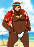  ball bandanna beach beach_ball bear bearlovestiger13 blush bulge clothed clothing erection fundoshi hi_res japanese_clothing jewelry kenji_mikazuki male mammal morenatsu nipples seaside solo source_request underwear 