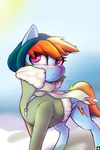  absurd_res blue_feathers blush captainpudgemuffin clothing equine feathered_wings feathers female friendship_is_magic hair hi_res hood jacket mammal multicolored_hair my_little_pony pegasus portrait rainbow_dash_(mlp) rainbow_hair scarf snow solo sun wings 