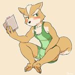  anthro black_nose blush book bulge canine clothed clothing cotton_(artist) erection fox fox_mccloud fur green_eyes male mammal nintendo orange_fur pants shirt sitting solo star_fox sweat tenting video_games 