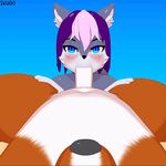  3d_(artwork) ambiguous_gender animated anthro belly blue_background blue_eyes digital_media_(artwork) duo ear_tuft erection faceless_male first_person_view fur grey_fur hair ikugo looking_at_viewer loop male navel nude oral orange_fur penis purple_hair sex simple_background slightly_chubby thick_thighs tuft 